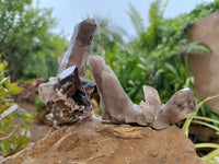 Natural Smokey Quartz With Aegirine Crystals x 27 From Malawi