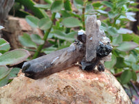 Natural Smokey Quartz With Aegirine Crystals x 27 From Malawi