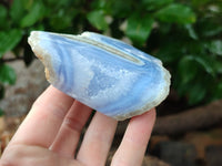 Polished on One Side Blue Lace Agate Geodes x 6 From Nsanje, Malawi