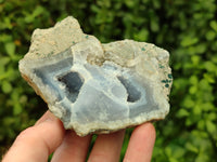 Polished on One Side Blue Lace Agate Geodes x 6 From Nsanje, Malawi