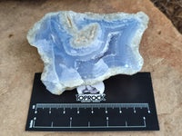 Polished on One Side Blue Lace Agate Geodes x 6 From Nsanje, Malawi