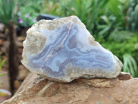 Polished on One Side Blue Lace Agate Geodes x 6 From Nsanje, Malawi