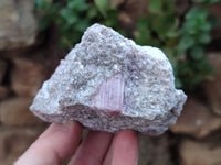 Natural Pink Rubellite Tourmaline Matrix Specimen x 2 From Karibib, Namibia