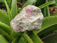 Natural Pink Rubellite Tourmaline Matrix Specimen x 2 From Karibib, Namibia