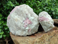 Natural Pink Rubellite Tourmaline Matrix Specimen x 2 From Karibib, Namibia