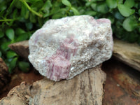 Natural Pink Rubellite Tourmaline Matrix Specimen x 2 From Karibib, Namibia