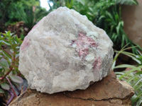 Natural Pink Rubellite Tourmaline Matrix Specimen x 2 From Karibib, Namibia