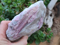 Natural Pink Rubellite Tourmaline Matrix Specimen x 2 From Karibib, Namibia