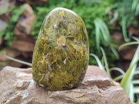 Polished Green Opal Standing Free Forms x 6 From Antsirabe, Madagascar