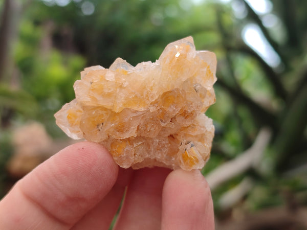 Natural Limonite Quartz Clusters x 70 From Solwezi, Zambia