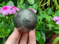 Polished Pharaoh Stone Spheres x 3 From Zimbabwe