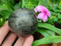 Polished Pharaoh Stone Spheres x 3 From Zimbabwe