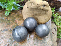 Polished Pharaoh Stone Spheres x 3 From Zimbabwe