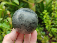 Polished Pharaoh Stone Spheres x 3 From Zimbabwe