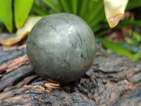 Polished Pharaoh Stone Spheres x 3 From Zimbabwe