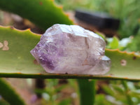 Natural Royal Zulu Amethyst Crystals x 12 from KwaZulu Natal, South Africa