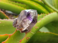 Natural Royal Zulu Amethyst Crystals x 12 from KwaZulu Natal, South Africa