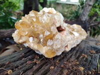 Natural Limonite Quartz Cluster x 1 From Solwezi, Zambia