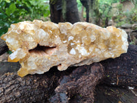 Natural Limonite Quartz Cluster x 1 From Solwezi, Zambia