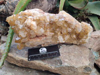 Natural Limonite Quartz Cluster x 1 From Solwezi, Zambia