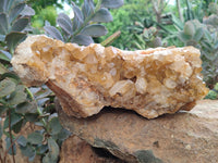 Natural Limonite Quartz Cluster x 1 From Solwezi, Zambia