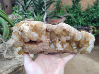 Natural Limonite Quartz Cluster x 1 From Solwezi, Zambia