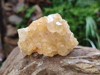 Natural Limonite Quartz Clusters x 24 From Solwezi, Zambia