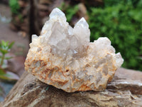 Natural Spirit Quartz Clusters x 12 From Boekenhouthoek, South Africa