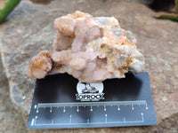 Natural Spirit Quartz Clusters x 12 From Boekenhouthoek, South Africa