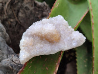 Natural Spirit Quartz Clusters x 12 From Boekenhouthoek, South Africa