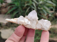 Natural Spirit Quartz Clusters x 12 From Boekenhouthoek, South Africa