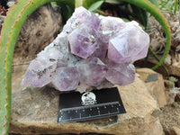 Natural Jacaranda Amethyst Quartz Cluster x 2 from Mumbwa, Zambia