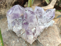 Natural Jacaranda Amethyst Quartz Cluster x 2 from Mumbwa, Zambia