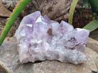 Natural Jacaranda Amethyst Quartz Cluster x 2 from Mumbwa, Zambia