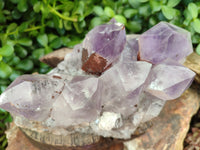 Natural Jacaranda Amethyst Quartz Cluster x 2 from Mumbwa, Zambia