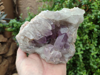 Natural Jacaranda Amethyst Quartz Cluster x 2 from Mumbwa, Zambia