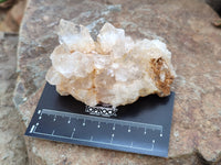 Natural Assortment Of Quartz Specimens x 14 From Southern Africa