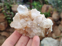 Natural Assortment Of Quartz Specimens x 14 From Southern Africa