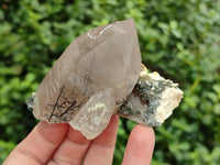 Natural Assortment Of Quartz Specimens x 14 From Southern Africa