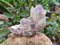 Natural Assortment Of Quartz Specimens x 14 From Southern Africa