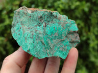 Natural Blue Shattuckite Cobbed Specimens x 2.7 Kg Lot From Kaokoveld, Namibia