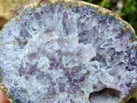 Polished On One Side Agate Nodules x 2 From South Africa