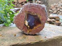 Polished On One Side Agate Nodules x 2 From South Africa