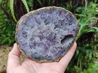 Polished On One Side Agate Nodules x 2 From South Africa