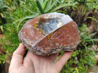 Polished On One Side Agate Nodules x 2 From South Africa