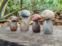 Polished Polychrome Jasper Mushrooms x 4 From Madagascar