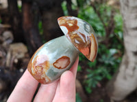 Polished Polychrome Jasper Mushrooms x 4 From Madagascar