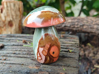 Polished Polychrome Jasper Mushrooms x 4 From Madagascar