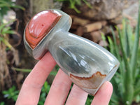 Polished Polychrome Jasper Mushrooms x 4 From Madagascar