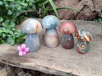 Polished Polychrome Jasper Mushrooms x 4 From Madagascar